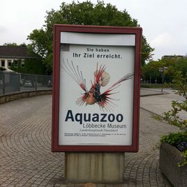 Aquazoo-Löbbecke Museum Düsseldorf in Düsseldorf
