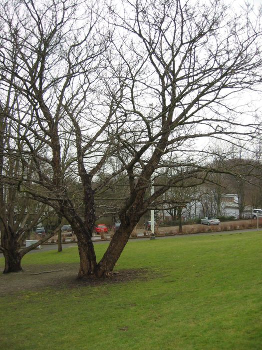 Nutzerbilder Berufskolleg am Kothen der Stadt Wuppertal Gunda Kempken OStD