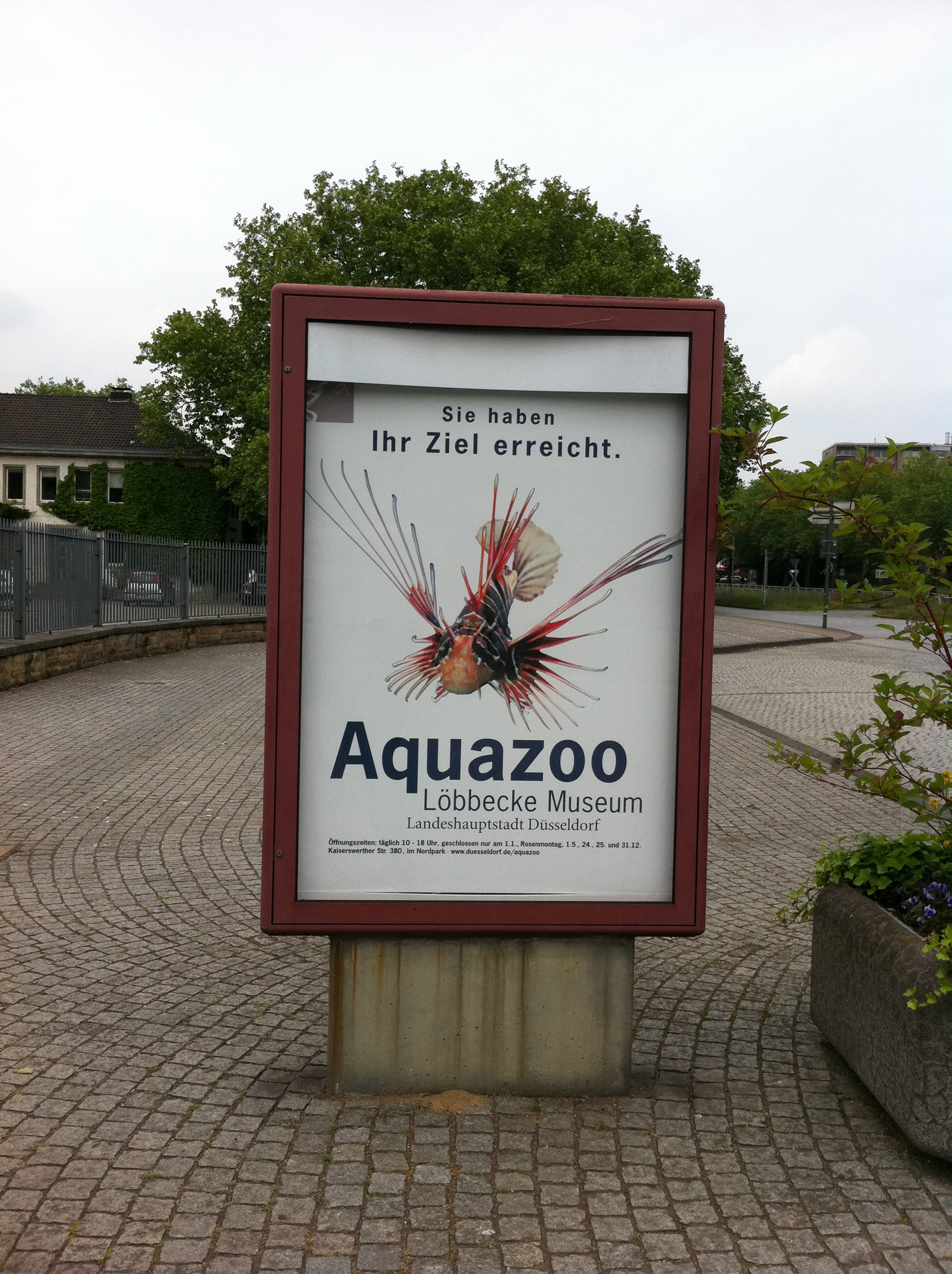 Bild 57 Aquazoo in Düsseldorf