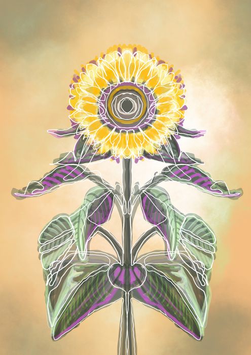  Sonnenblume in der Hitze - digitale Zeichnung von Margarita Siebke - ArtMSiebke