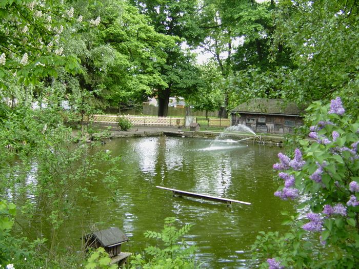 Ententeich mit Tiergehege in Blankenhain