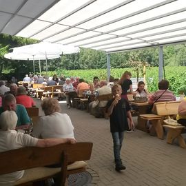 Blick auf die Terrasse