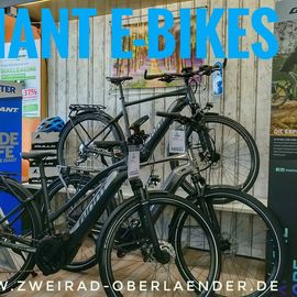 Giant E-Bikes

