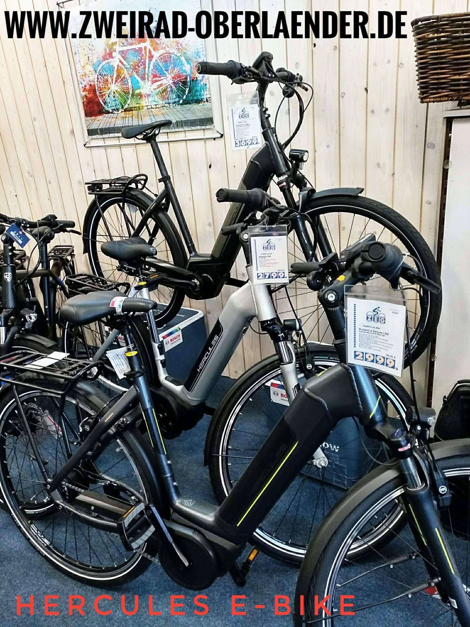 Hercules E- Bikes