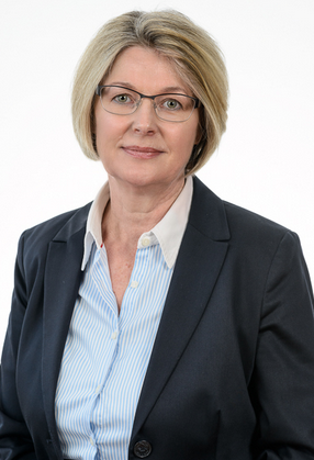 Susanne Meyerle, Organisation