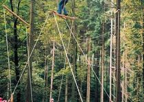 Bild zu Hochseilgarten Forest Jump