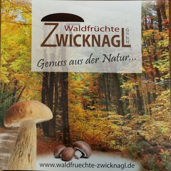 Logo von Waldfrüchte Zwicknagl GmbH in Wackersdorf