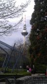 Nutzerbilder Stadtpark Mannheim gGmbH Luisenpark