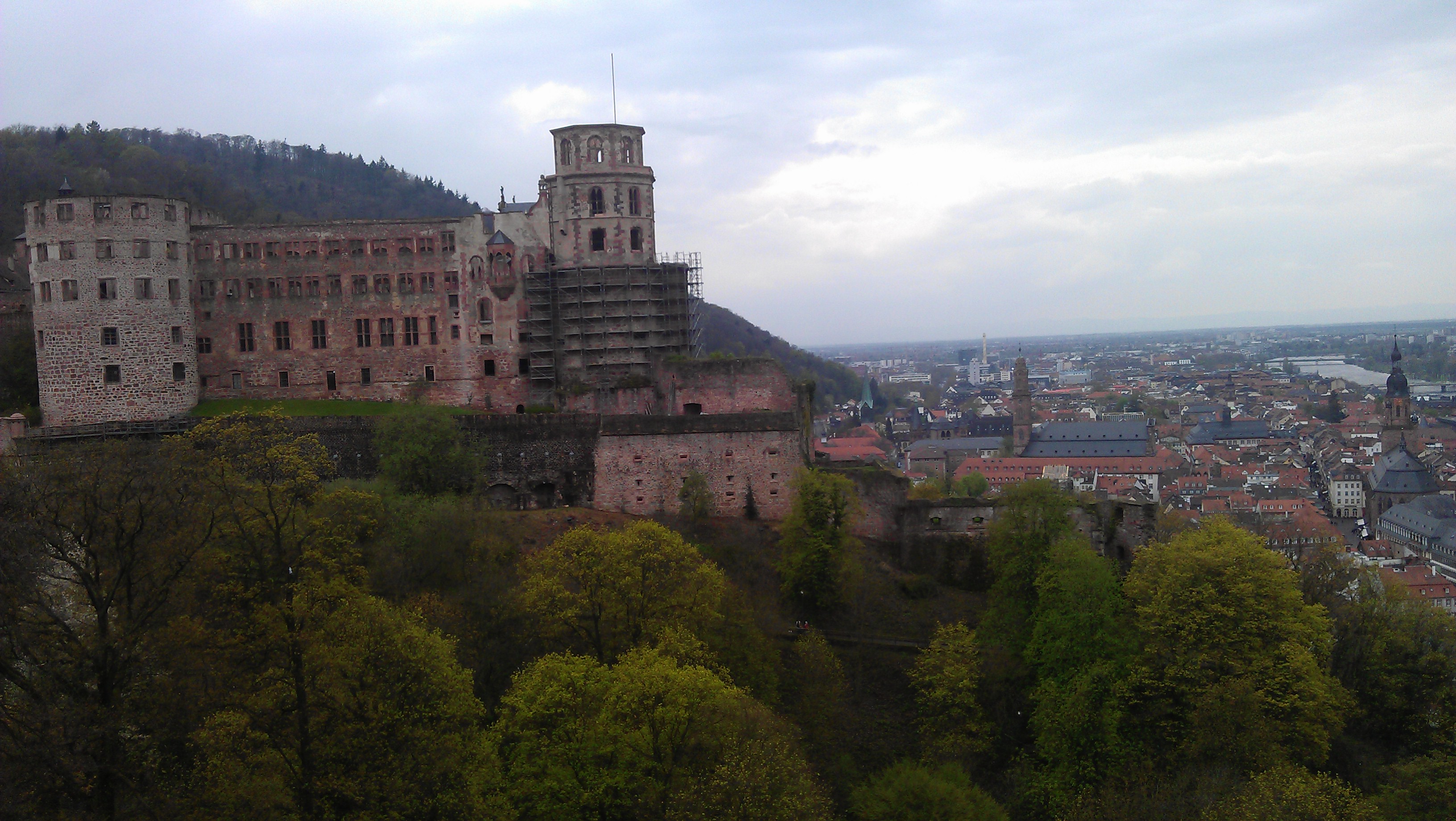 Bild 48 Schloss Heidelberg in Heidelberg