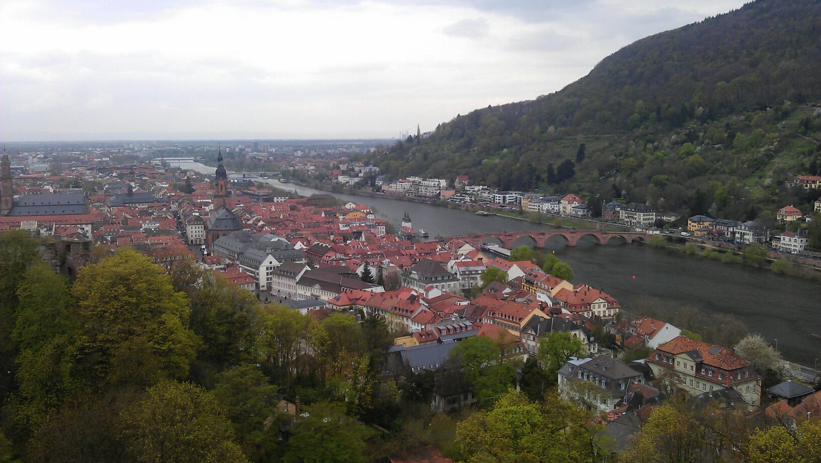 Blick vom Schloss auf Heidelberg
