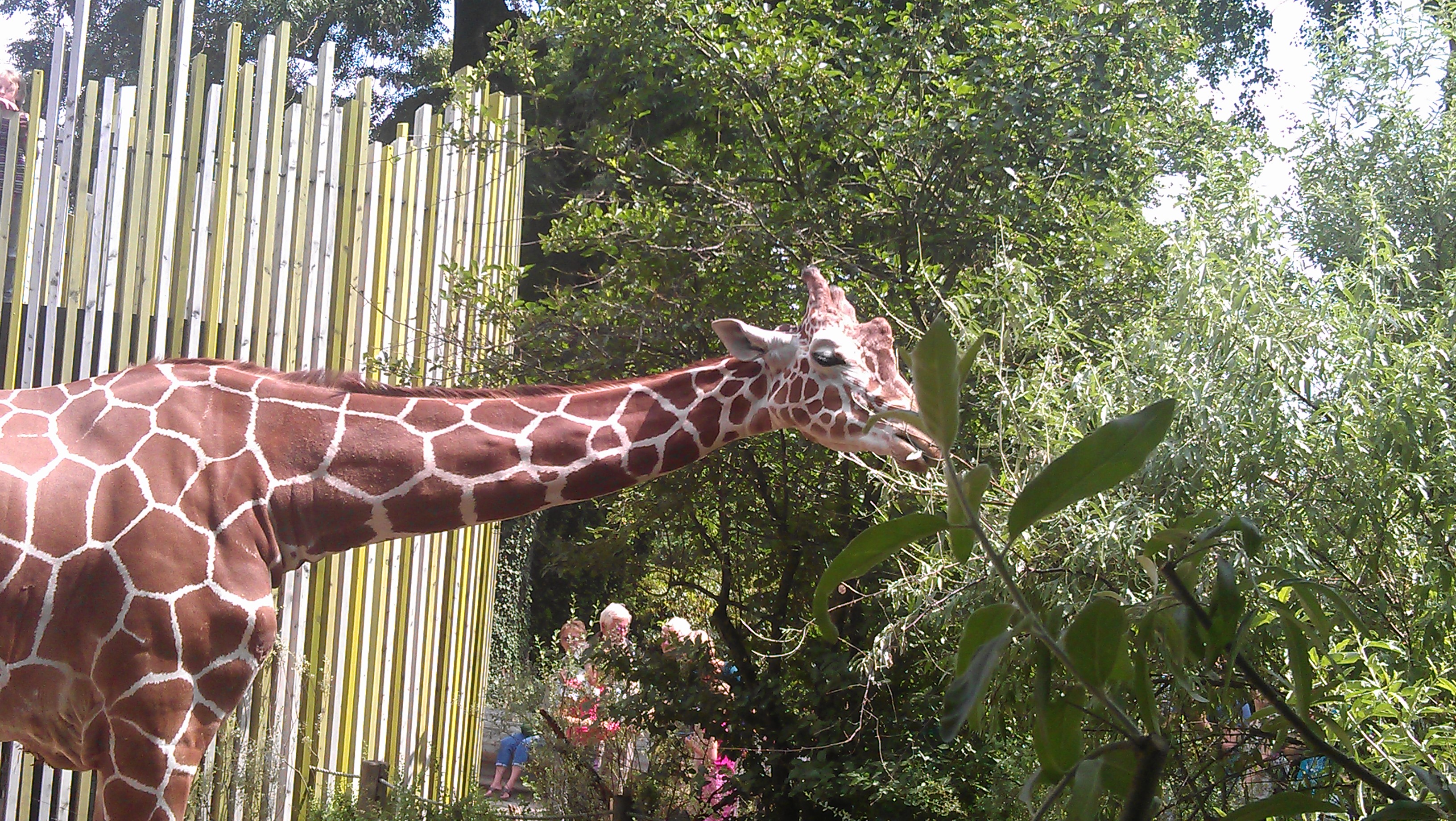 Bild 6 Zoologischer Garten in Dresden