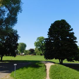 Rheinpark Köln in Köln