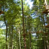 Wald-Abenteuer der Waldkletterpark Velbert-Langenberg in Langenberg Stadt Velbert