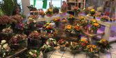Nutzerbilder Blumen Bruno Mankopf An der Stadthalle und Am Markt