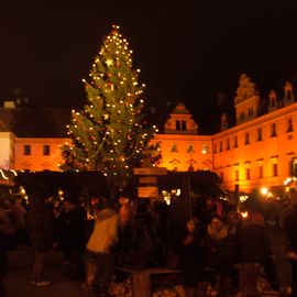Weihnachtsbaum im Schlosshof