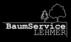 Bild 1 BaumService Lehmer in Schwandorf