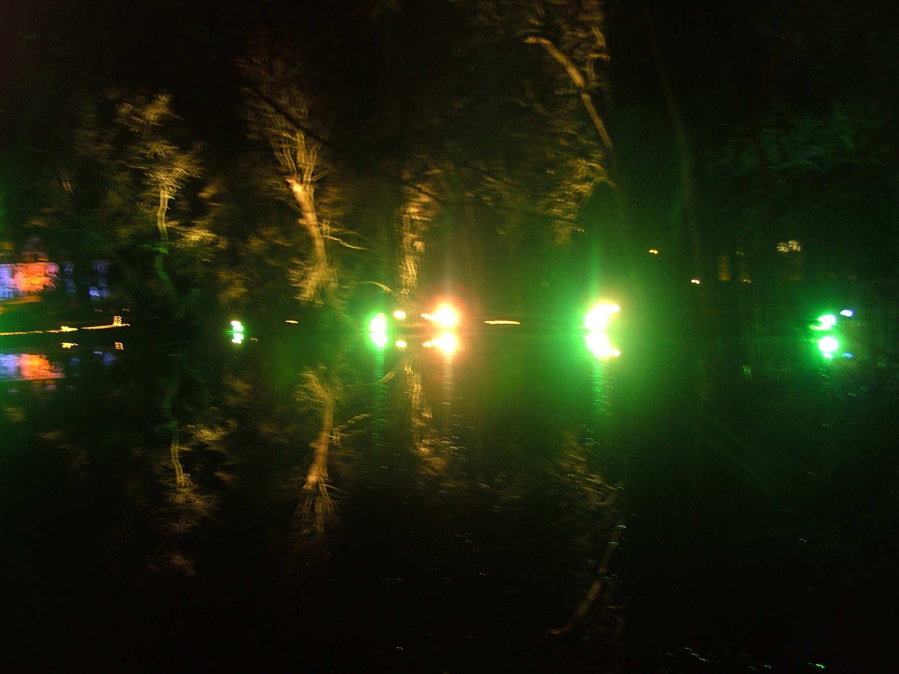 Teich im Schloßpark bei Nacht, zu sehen beim Rundgang während des Weihnachtsmarktes (unbedingt zu empfehlen).