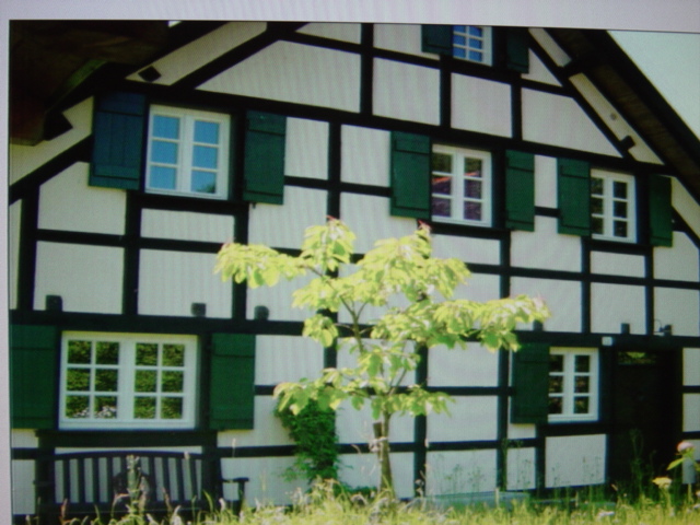 Holzfenster in Denkmal geschütztem Fachwerkhaus