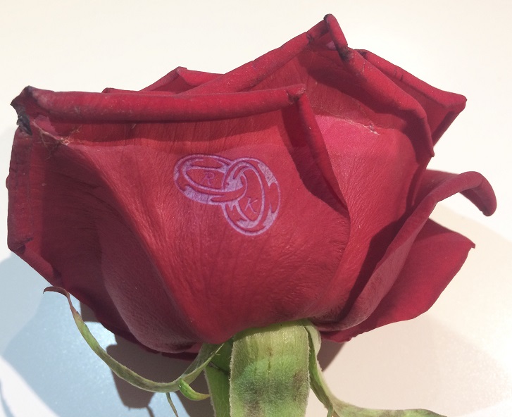 Lasergravur Rose Blume