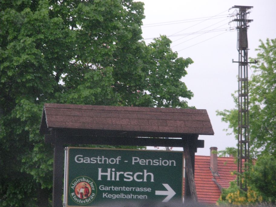Bild 3 Hirsch in Schömberg