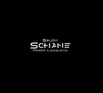 Logo von Salon SCHANE - Frisör & Kosmetik in Siegen