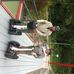 Just Move, Segway-Touren Passau in Passau