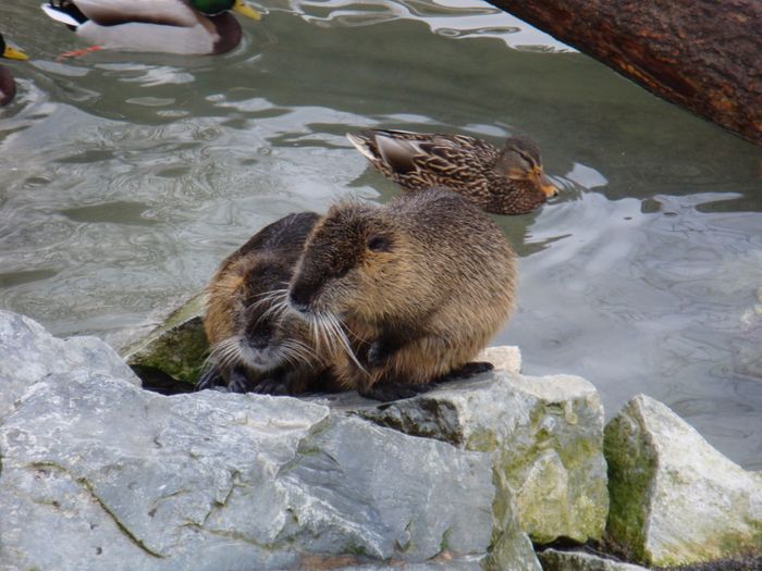 Nutzerbilder Wildpark Poing