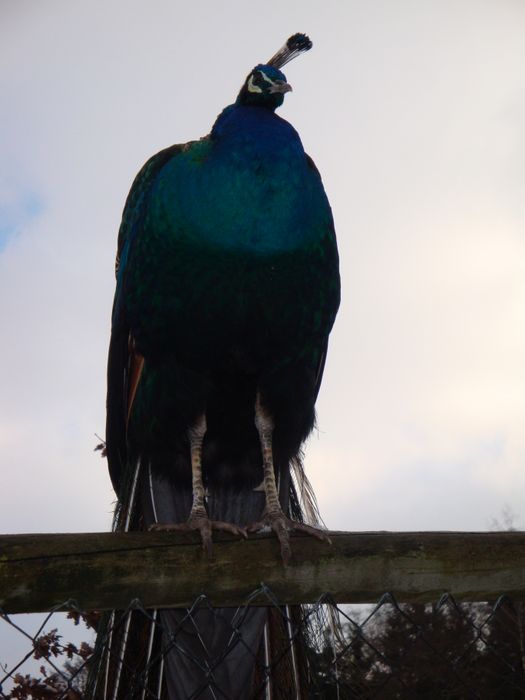 Nutzerbilder Wildpark Poing