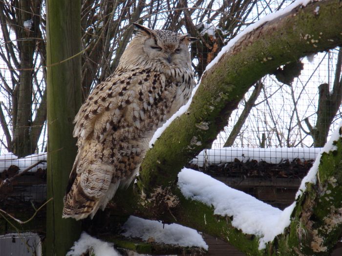 Nutzerbilder Wildpark Poing