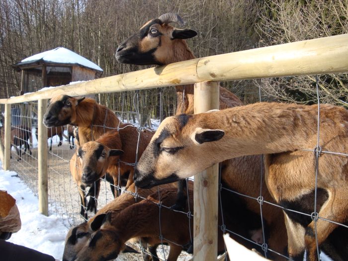 Nutzerbilder Wildpark Poing