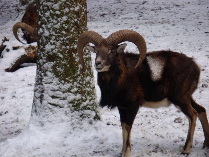 Nutzerbilder Wildpark Poing