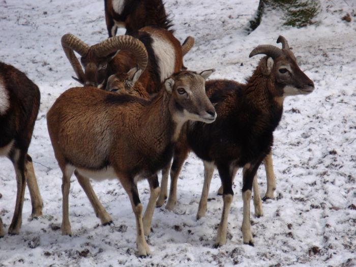 Nutzerbilder Wildpark Poing