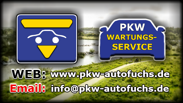 Nutzerbilder Autofuchs Igor Pavlov PKW-Wartungs-Service