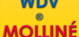 Bild zu WDV-Molliné GmbH