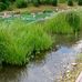 Naturerlebnisbad in Bingen am Rhein