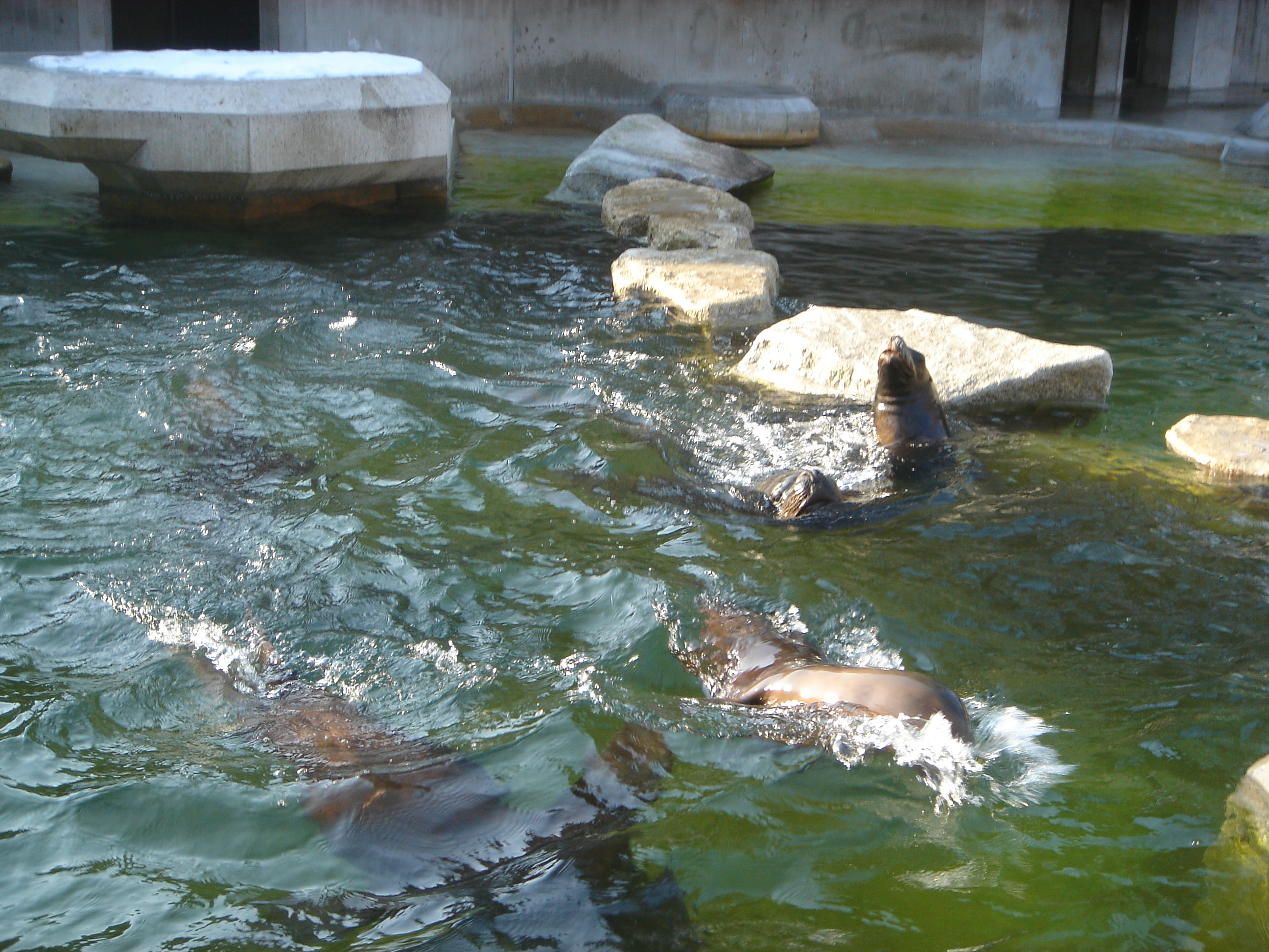 Bild 147 Münchner Tierparkschule Hellabrunn in München