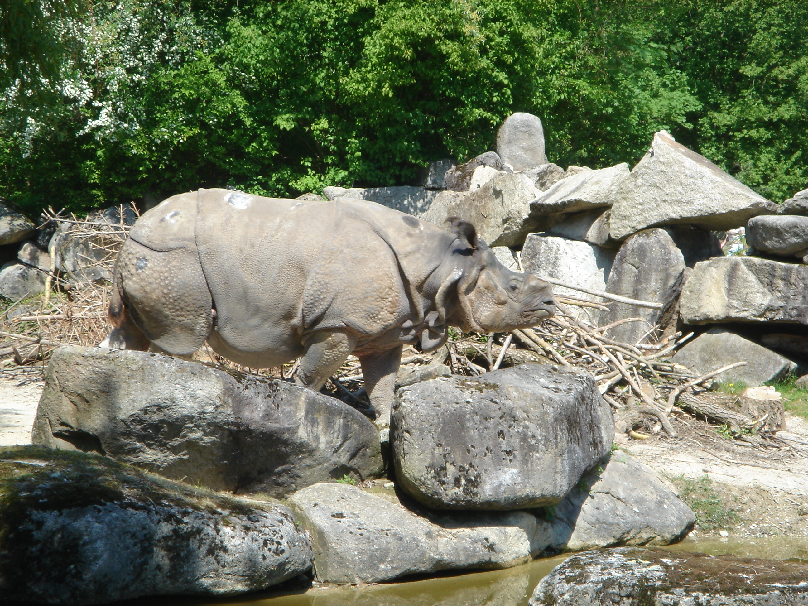 Bild 173 Münchner Tierparkschule Hellabrunn in München