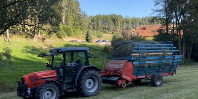 Tannenmühle Pension in Grafenhausen im Hochschwarzwald