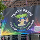 Party Palme Kühlanhänger - Verleih in Hameln
