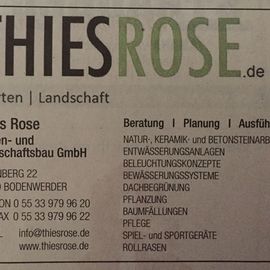 Thies Rose Garten- und Landschaftsbau in Bodenwerder
