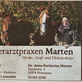 Tierarzt Wennigsen Dr. med. vet. Marten in Wennigsen (Deister)