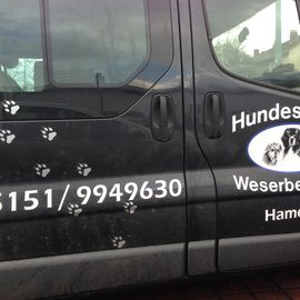 Hundeschule Weserbergland in Hameln