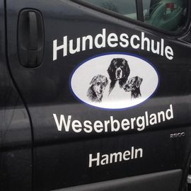 Hundeschule Weserbergland in Hameln