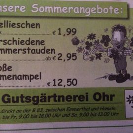 Gutsgärtnerei Ohr Inh. A. Schäfer in Ohr Gemeinde Emmerthal