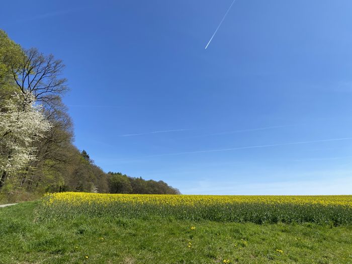 Nutzerbilder Forsthaus Heisenküche