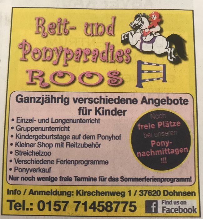 Reit- und Ponyparadies - Cindy Roos