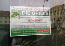 Bild zu Die Grille