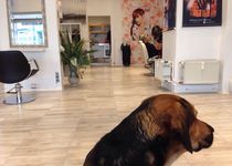 Bild zu Friseursalon Cut Turgut Peker