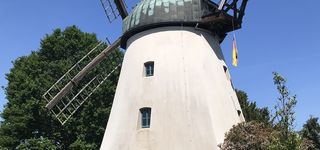 Bild zu Holländer Windmühle Tündern
