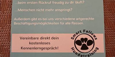Smart Fellows Hundetraining in Hessisch Oldendorf